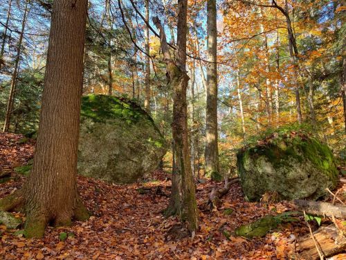Two large moss-covered boulders surrounded by autumn foliage and trees in a serene forest setting.