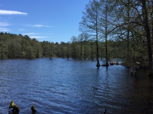 A serene landscape featuring a calm, blue lake surrounded by trees under a clear blue sky.