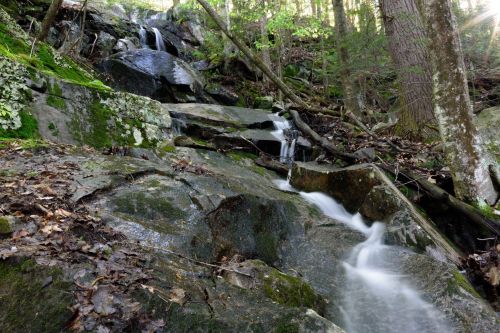 A serene forest scene featuring a cascading waterfall over moss-covered rocks, surrounded by lush greenery.