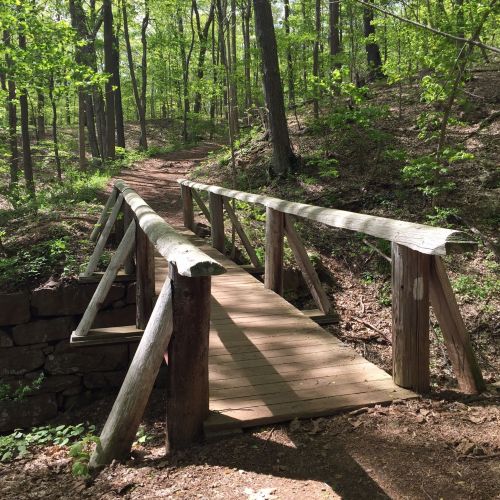 A wooden bridge spans a small creek in a lush green forest, surrounded by trees and dappled sunlight.