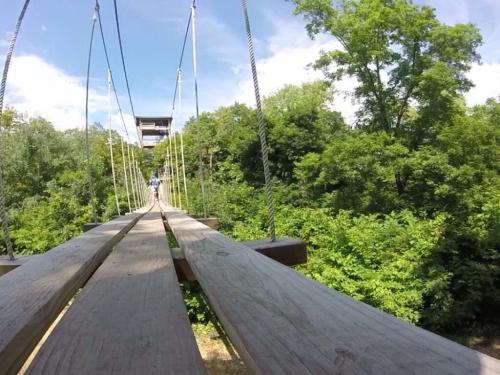 A wooden suspension bridge stretches over lush greenery under a bright blue sky.