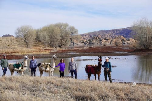 A group of six people stands by a river with two llamas, surrounded by trees and rocky hills in the background.