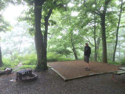 A man stands on a gravel pad surrounded by trees in a misty forest, with a fire pit nearby.