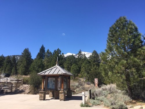 A visitor center surrounded by pine trees, with mountains in the background under a clear blue sky.