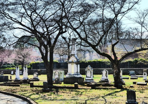 A serene cemetery scene with gravestones and bare trees under a clear sky, evoking a peaceful atmosphere.
