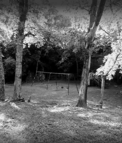A black and white image of an empty playground with swings, surrounded by trees and a dark background.