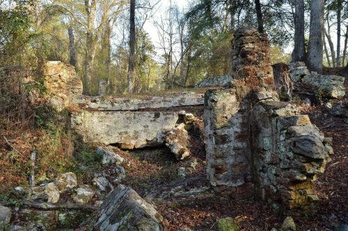 Ruins of an old stone structure surrounded by trees and foliage in a forested area.