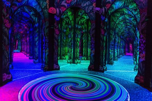 A vibrant, colorful maze with illuminated trees and a swirling pattern on the ground, creating a surreal atmosphere.