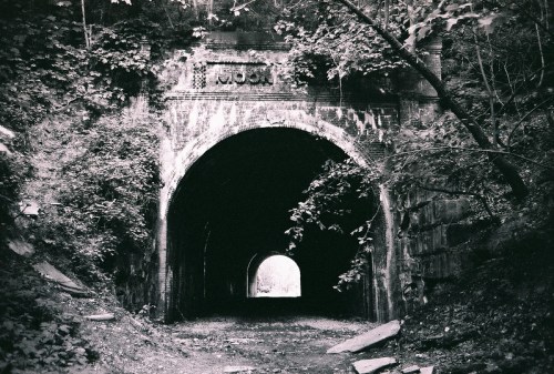 A dark, overgrown tunnel entrance surrounded by trees, with light visible at the far end.