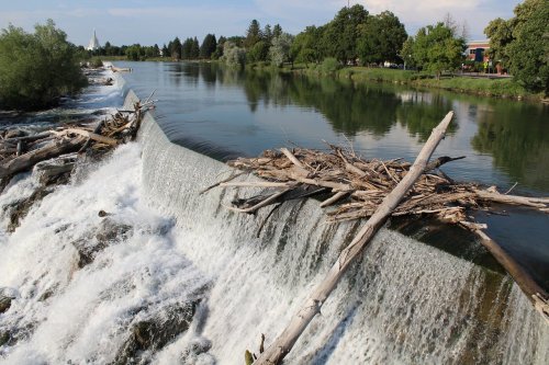 A serene river scene featuring a waterfall with logs and branches on top, surrounded by lush greenery and blue skies.