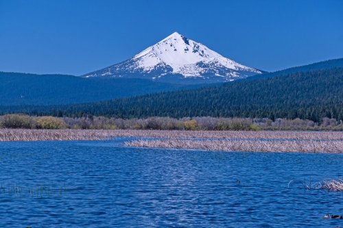Snow-capped mountain rises above a serene blue lake, surrounded by lush green forests and clear blue skies.