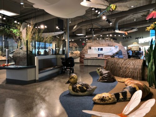 A nature exhibit featuring sculptures of ducks, frogs, and snakes, with interactive displays and a stroller in the foreground.