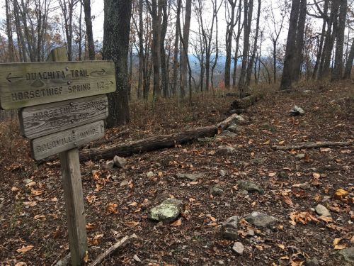 Trail signpost in a wooded area, indicating directions to Ouachita Trail and Horsethief Spring, with fallen leaves around.