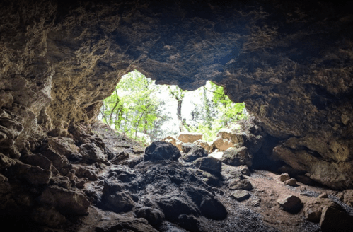 A view from inside a cave, showing a rocky entrance framed by trees and natural light.