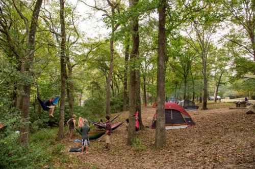 A campsite in a wooded area with tents, hammocks, and people enjoying the outdoors among trees and fallen leaves.