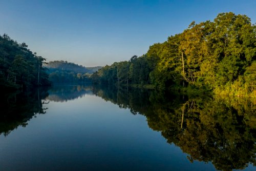 A serene lake surrounded by lush trees, reflecting the clear blue sky and greenery on its calm surface.