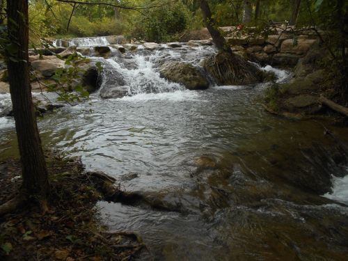 A serene stream flows over rocks, surrounded by lush greenery and trees, creating a peaceful natural scene.