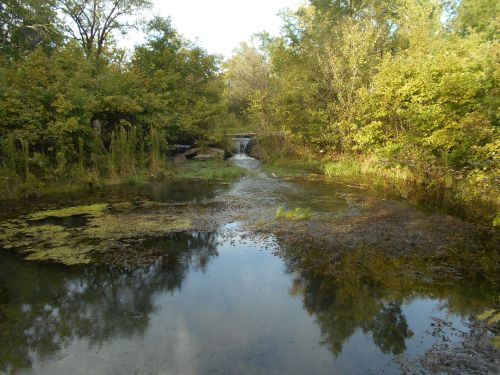A serene landscape featuring a small waterfall surrounded by lush greenery and a reflective pond.