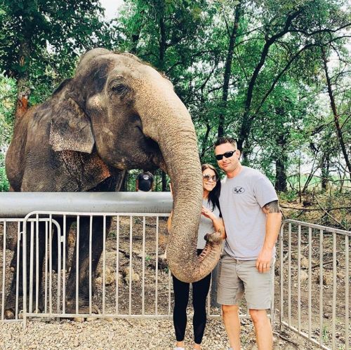A couple poses with an elephant, which extends its trunk towards them, surrounded by trees and a fence.