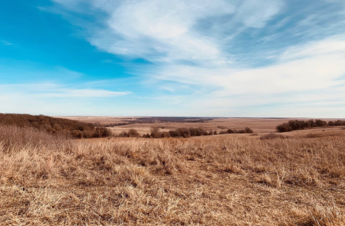 A wide, open landscape with golden grass under a blue sky, featuring rolling hills in the distance.