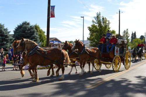 A horse-drawn carriage with passengers moves down a street, surrounded by trees and onlookers enjoying a parade.