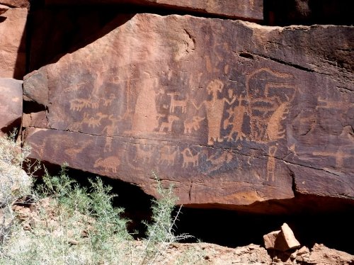 Petroglyphs depicting animals and human figures carved into a rock face, surrounded by desert vegetation.
