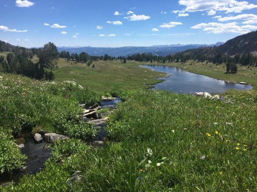 A serene landscape featuring a river, lush green meadows, and distant mountains under a blue sky with fluffy clouds.