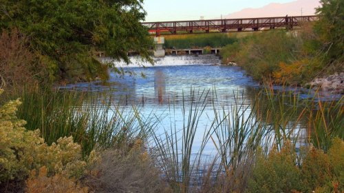 A serene river scene with lush greenery, reflecting water, and a bridge in the background under a clear sky.