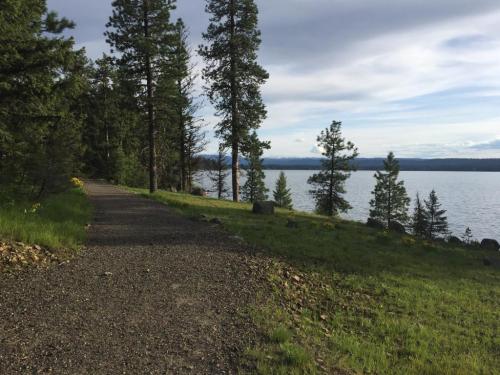 A gravel path lined with trees leads to a serene lake under a cloudy sky. Green grass and wildflowers are visible.