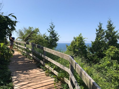 A wooden walkway surrounded by greenery leads to a scenic view of the ocean under a clear blue sky.