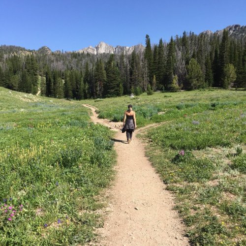 A person walks along a dirt path through a lush green meadow surrounded by trees and mountains under a clear blue sky.