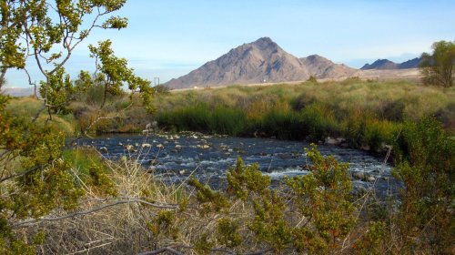 A serene landscape featuring a river, lush greenery, and a mountain in the background under a clear blue sky.