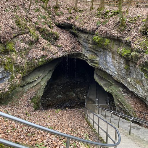 A cave entrance surrounded by mossy rocks and fallen leaves, with a staircase leading down to a small stream.