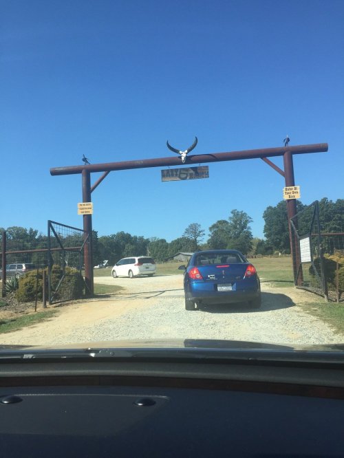 A blue car drives through a large wooden gate with a bull skull, entering a ranch or farm area under a clear blue sky.