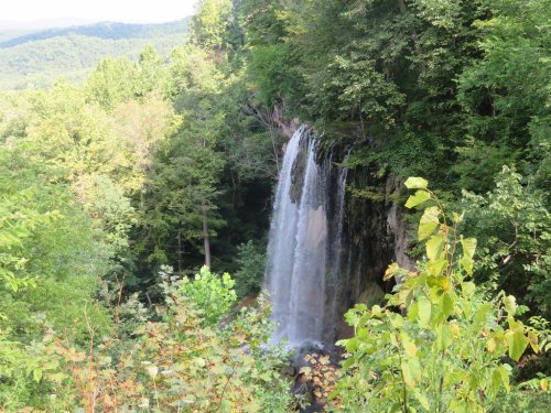A serene waterfall cascading down a rocky cliff, surrounded by lush green trees and foliage.