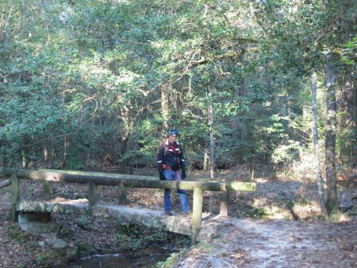 A person stands on a small wooden bridge in a forested area, surrounded by trees and fallen leaves.