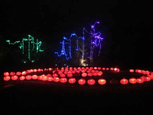 Colorful lights illuminate a dark scene with red lanterns arranged in a circular pattern and trees adorned with blue and green lights.