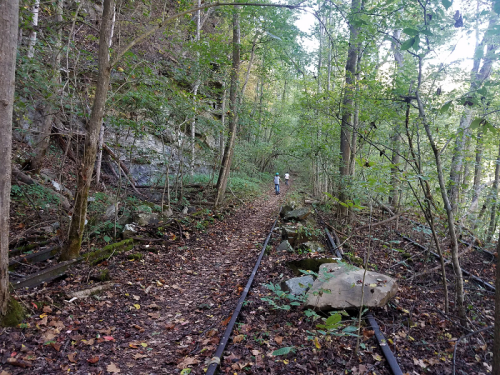 A narrow, overgrown trail with old railway tracks, surrounded by trees and rocky terrain, with two people walking in the distance.