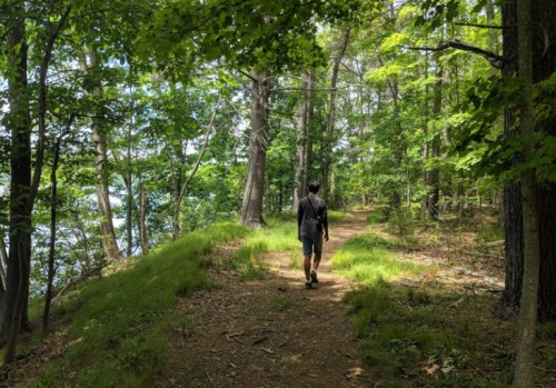 A person walking along a forested path beside a lake, surrounded by lush green trees and sunlight filtering through.