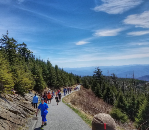 A scenic hiking trail with people walking, surrounded by trees and mountains under a clear blue sky.