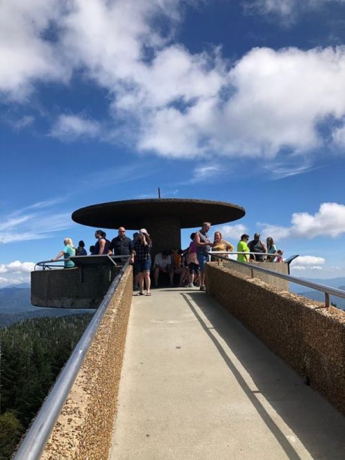 A group of people gather on a lookout platform with a circular roof, surrounded by trees and blue skies.