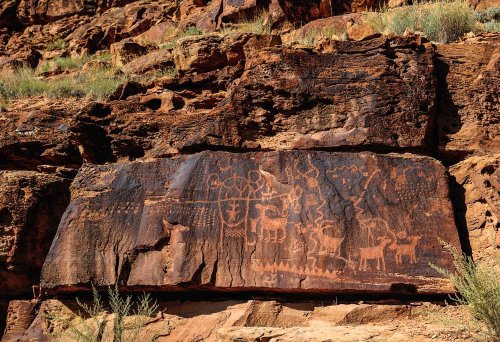 Ancient petroglyphs depicting animals and symbols carved into a rocky cliff face, surrounded by sparse vegetation.