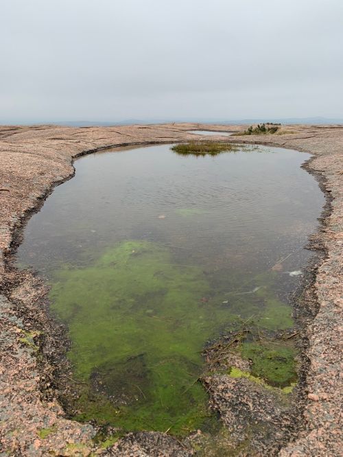 A shallow pond surrounded by rocky terrain, with green algae visible in the water and a cloudy sky above.