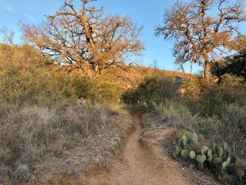 A winding dirt path through a desert landscape with sparse vegetation and cacti under a clear blue sky.