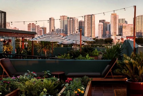 Rooftop garden with lounge chairs and umbrellas, overlooking a city skyline at sunset.