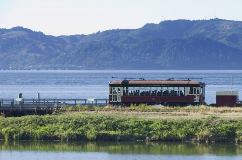 A vintage trolley travels along a waterfront with mountains in the background and greenery in the foreground.