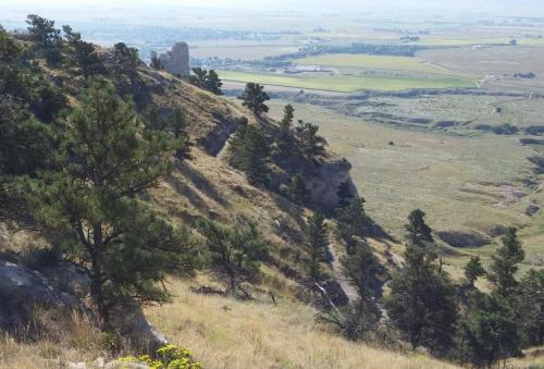A scenic view of rolling hills and valleys, with pine trees on a slope and a distant town visible in the background.