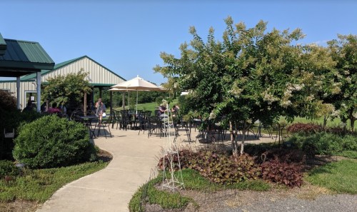 A sunny outdoor café area with tables, umbrellas, and lush greenery, inviting patrons to relax and enjoy.