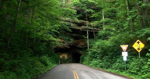 A winding road leads into a lush green forest, with a cave entrance ahead and road signs on the side.