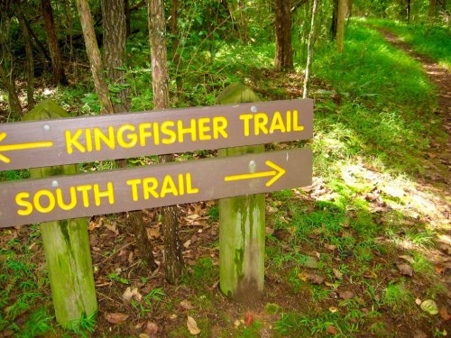 Signpost indicating the Kingfisher Trail and South Trail, surrounded by lush greenery and a dirt path.